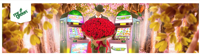 Love is in the Reels Valentine's Day Promotion