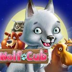 Watch the Official Video: Wolf Cub Slot Blizzard feature Preview – BIG WIN Potential Revealed
