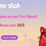 New offer! Get 25 Copy Cats Free Spins at Mr Slot Casino (until 23 September 2017)