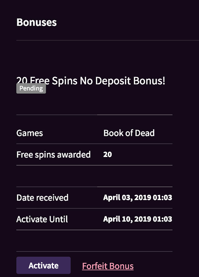 Wild Blaster Casino No Deposit Bonus
